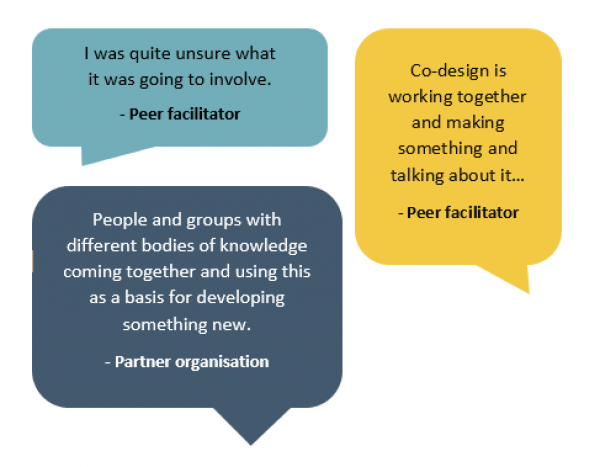 Speech bubbles showing participant comments: "I was quite unsure what it was going to involve," - Peer facilitator. "Co-design is working together and making something and talking about it..." - Peer facilitator. "People and groups with different bodies of knowledge coming together and using this as a basis for developing something new," - Partner organisation.